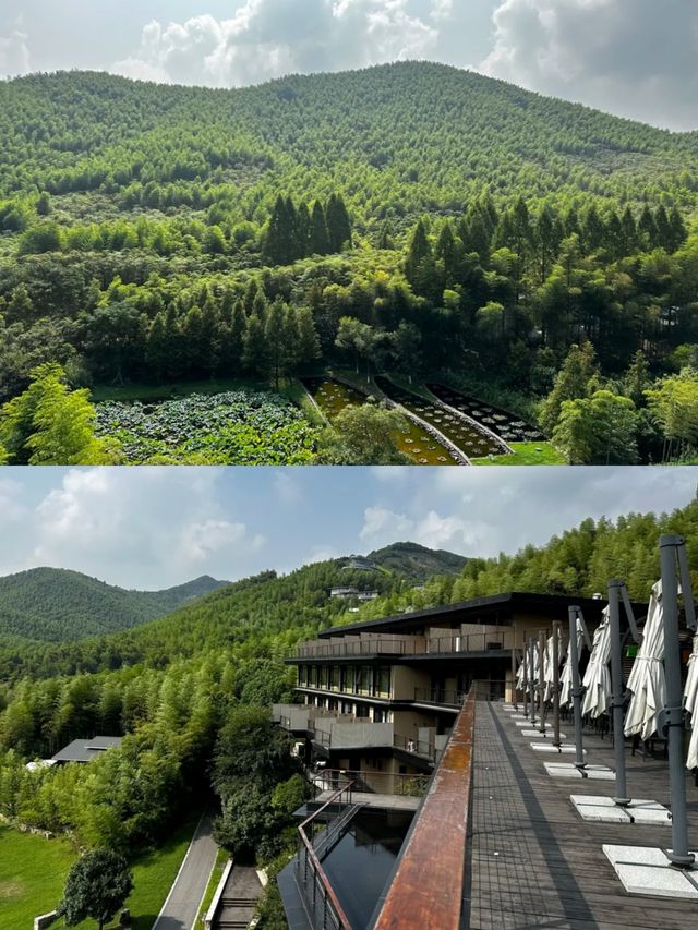 從城市到森林，來湖州慧心谷綠奢度假村！