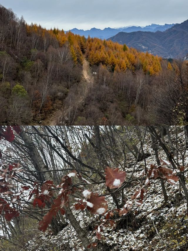 10月20日中台山雪景實拍。