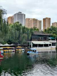 蓮花池公園 尋覓鬧市中的一刻寧靜。