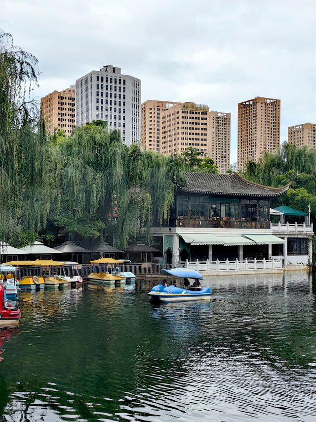 蓮花池公園 尋覓鬧市中的一刻寧靜。