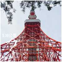 日本建築深度考察行可這麼安排❗️
