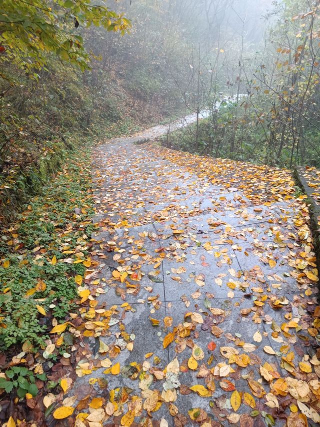祥峪森林公園。