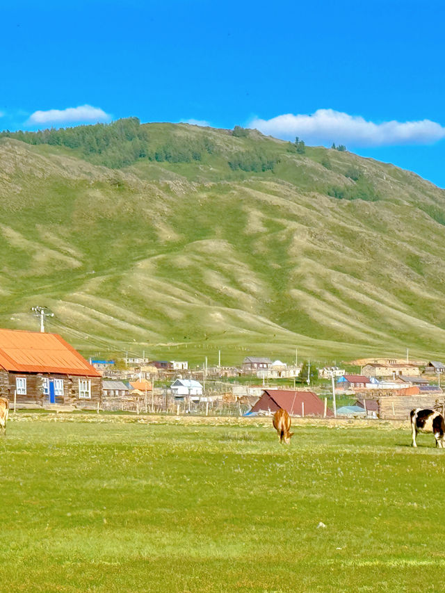 新疆 | 邂逅一望無際的草原。 新疆 | 邂逅一望無際的草原。