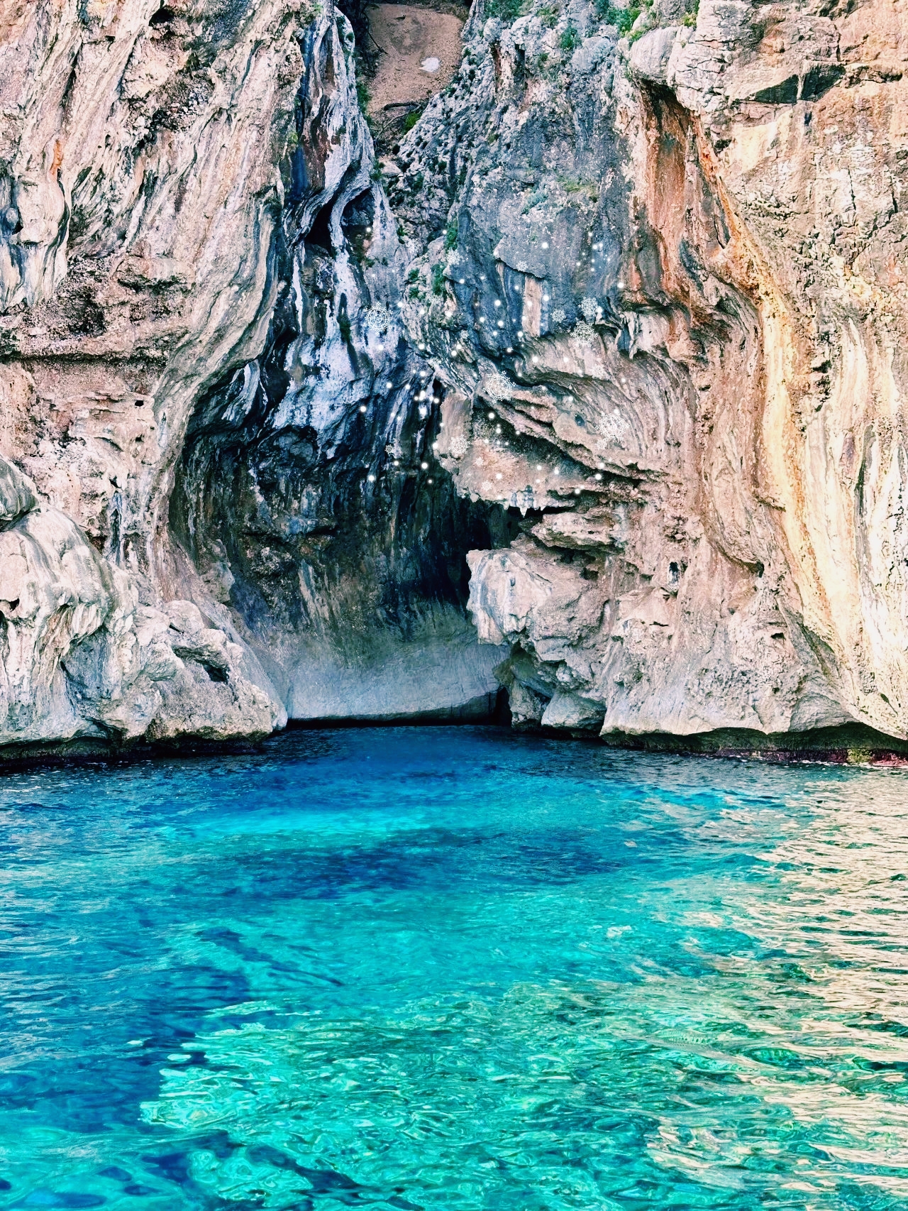 Pink sand and jelly sea, who is the coolest on Sardinia? 