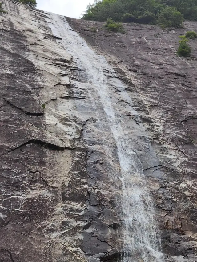朱雀國家森林公園|景色壯美。