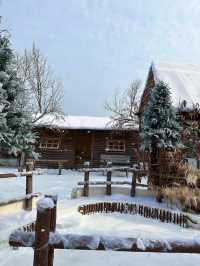 深圳雪景木屋阿勒泰！。