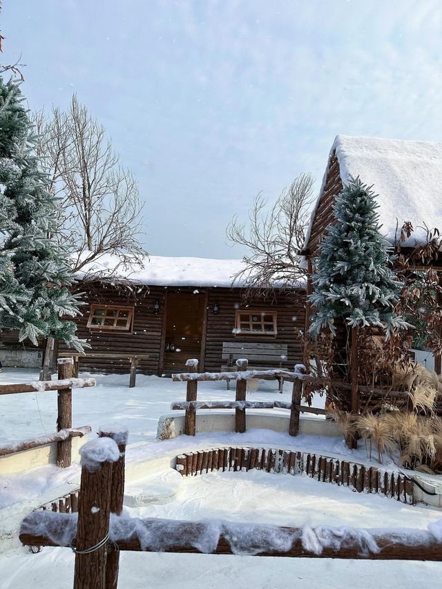 深圳雪景木屋阿勒泰！。