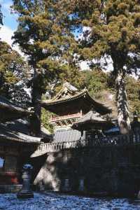 Explore Nikko in a Day with Tobu Pass