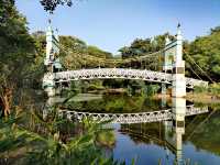養眼養心又養人的地方——廣西柳州龍潭公園。