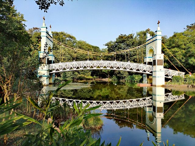 養眼養心又養人的地方——廣西柳州龍潭公園。