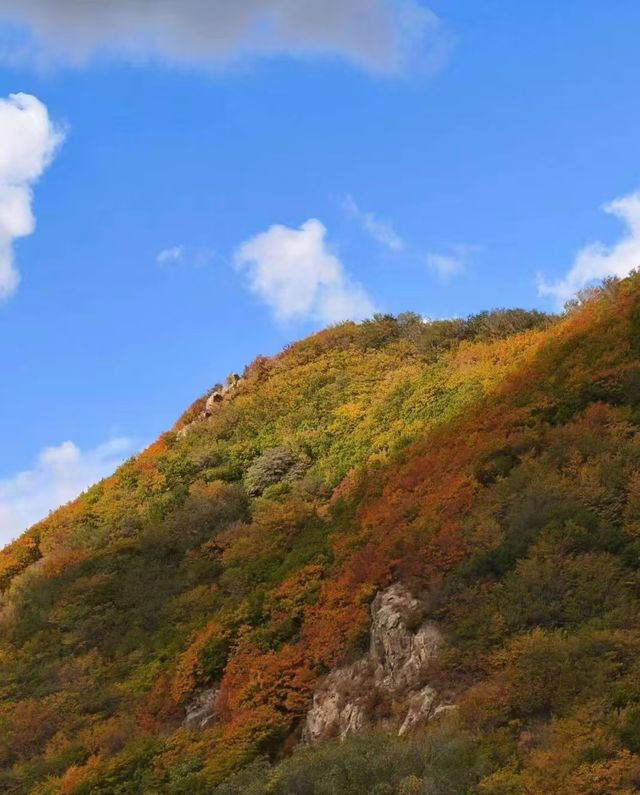 秋日遊玩觀賞聖地——哈爾濱香爐山。