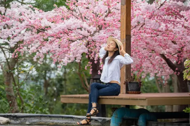 Aomori: A Northern Gem of Nature and Culture