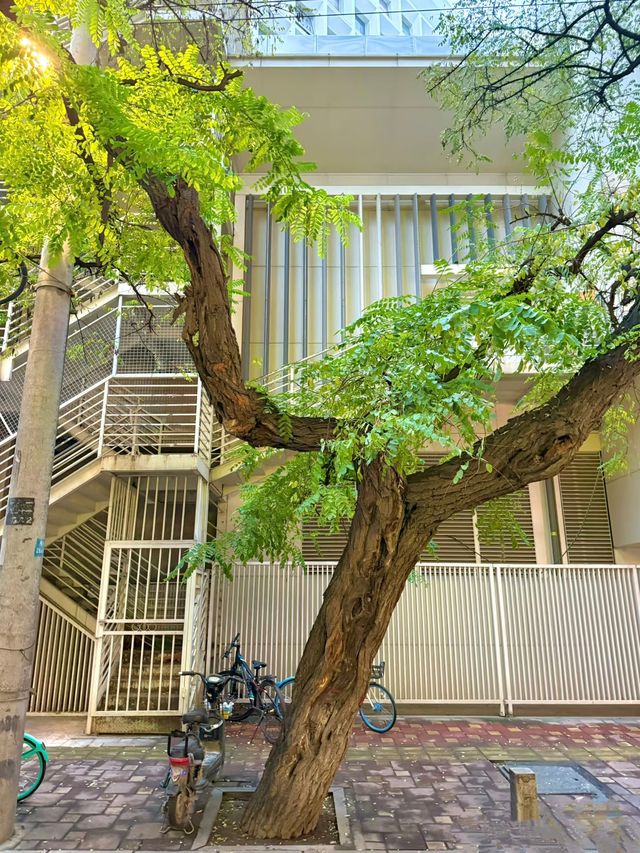 西安藏在老城區街道裡的電影感氛圍感。