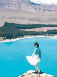 Tekapo 牛奶湖，絕不是照騙（附攻略）。