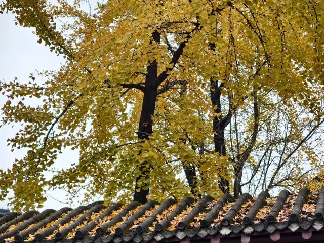 南陽周邊遊。