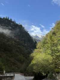陇南-甘南-平凉 長者必看遊玩攻略秘笈。