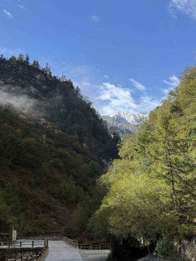 陇南-甘南-平凉 長者必看遊玩攻略秘笈。