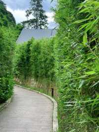 南昆山·秘境｜藏在森林裡的童話世界
