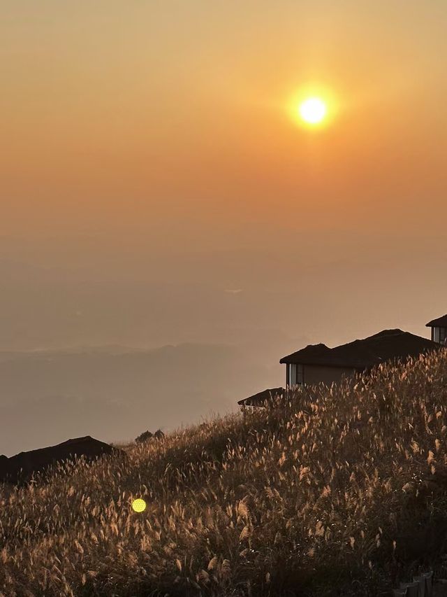 旅行是平衡身心的良藥