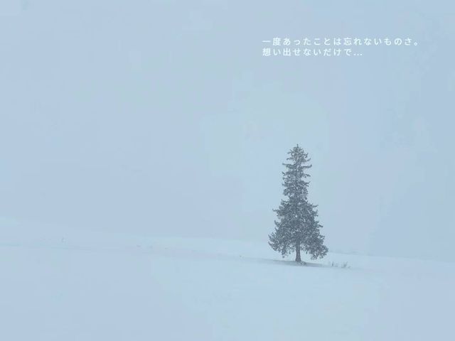 北海道的雪都是自帶浪漫屬性 ❄️