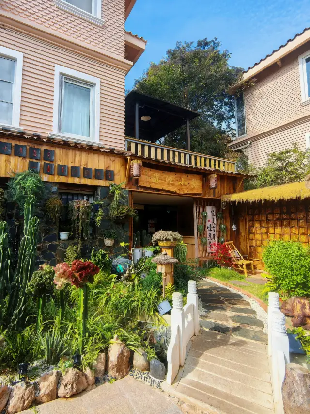 昆明でカモメ観察の密度が基準に達しました！チェックインガイド付き