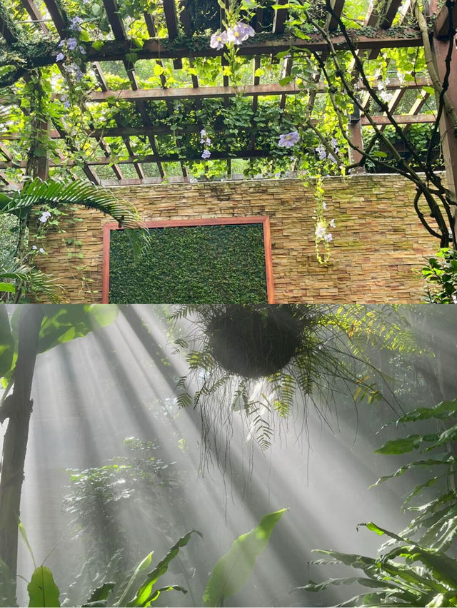 人回來了  心還留在綠野仙蹤 風景太美了