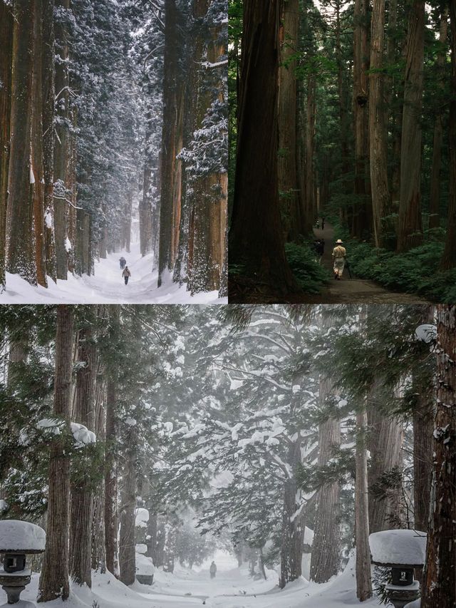春節旅遊不喊咔去秘境長野解鎖高階玩法