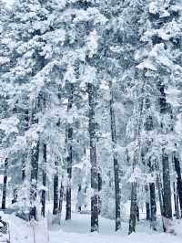 滿屏雪山霧凇的滑雪場