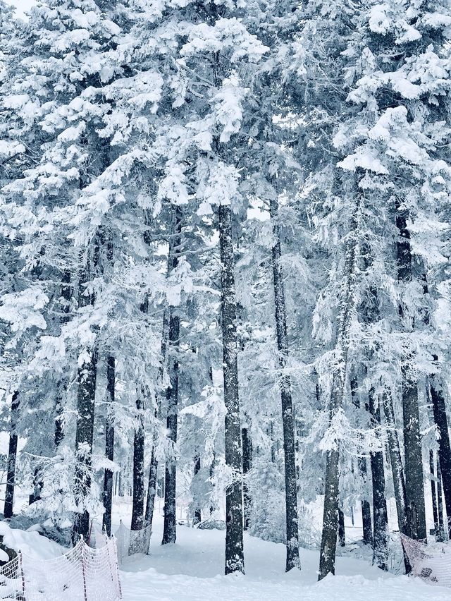 滿屏雪山霧凇的滑雪場