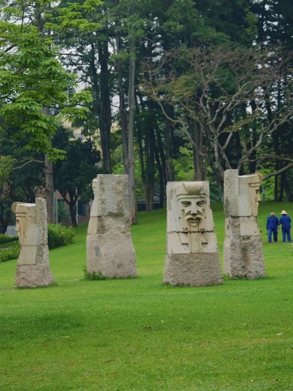 深圳四海公園賞花啦～泰國櫻花 絨果決明