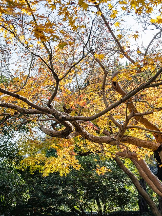 上海桂林公園
