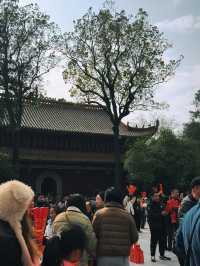 南嶽已回實話難聽但還是要說