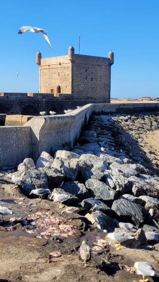 The Windy City - Essaouira