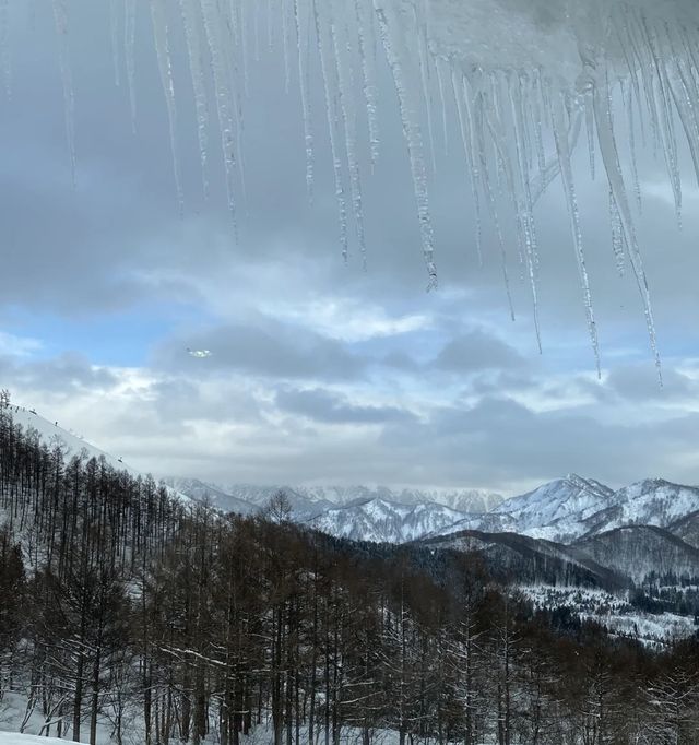 日本雪國的浪漫之旅——新潟