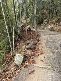 白岩山上白岩寺，立春時節春雨盛
