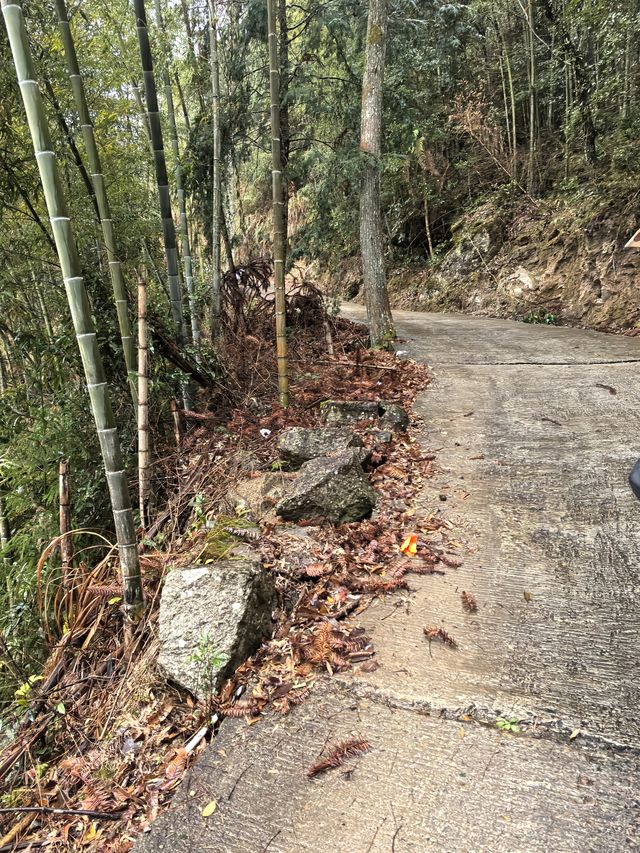 白岩山上白岩寺，立春時節春雨盛