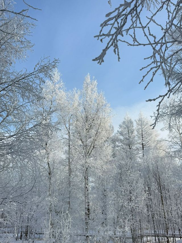 6日暢遊 瀋陽故宮-長白山-鏡泊湖不容錯過的美景全攻略