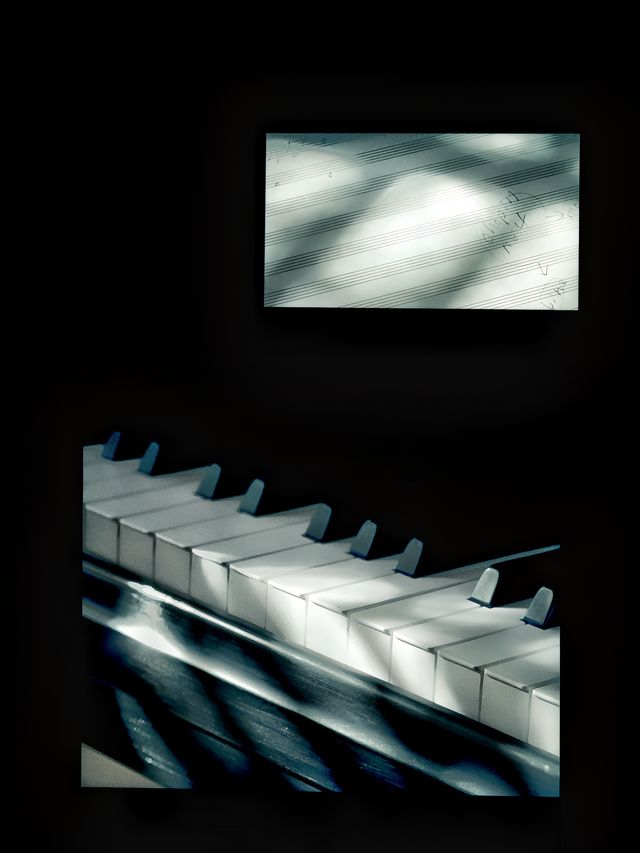 ［少排隊攻略］東京|坂本龍一展|體驗感拉滿