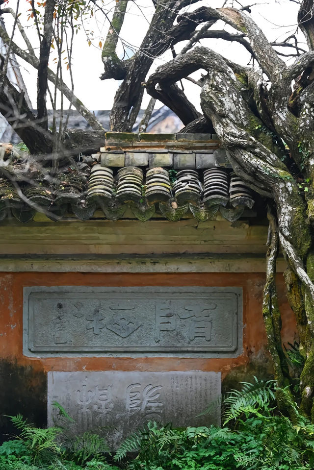 探秘天台山國清寺：千年古剎的傳奇與魅力