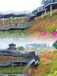 被我挖到！深圳呢處神仙公園靚到爆