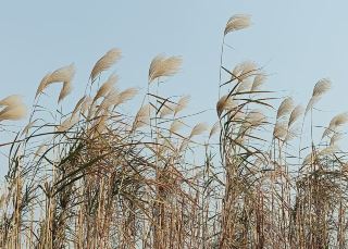 우청 우성: 여기에는 서북부로 순간 이동할 수 있는 시공간의 문이 있습니다