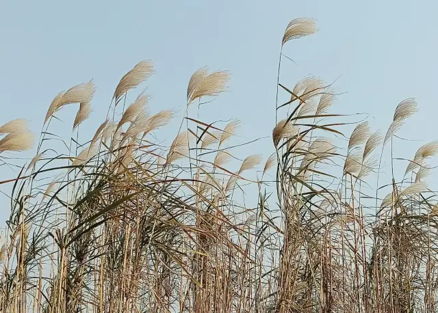 Yongxiu Wucheng: A Portal to the Northwest