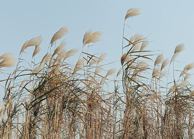 永修吳城：這裡有一個瞬間穿越大西北的時空之門