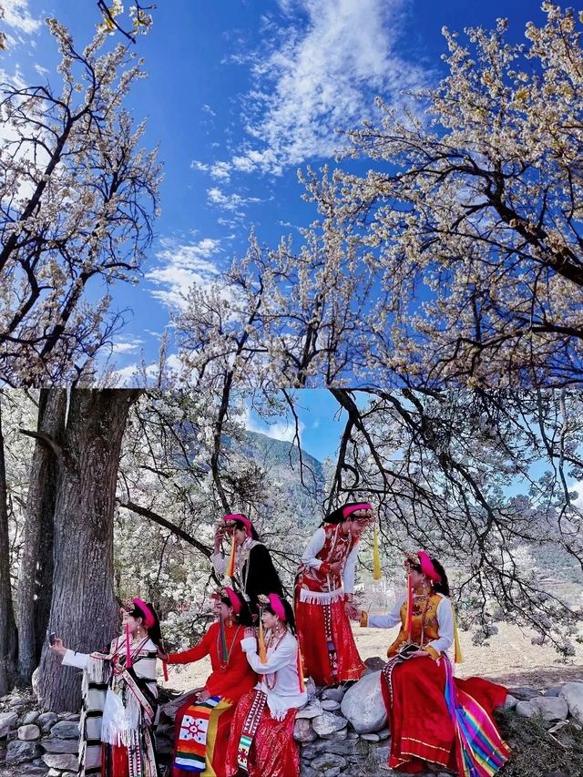 金川梨花 | 一場春日的夢幻之約