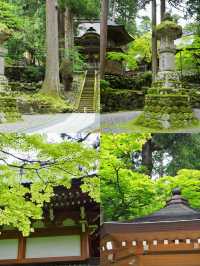 探秘福井：日本小眾旅行的夢幻之境
