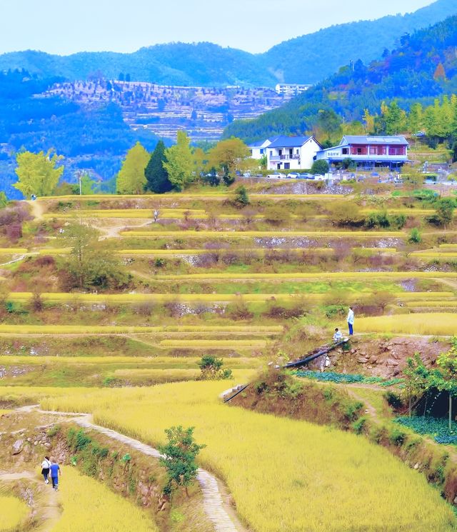 指南村|杭州賞秋勝地堪稱秋日浪漫天花板