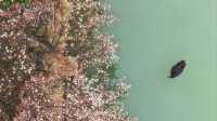 常熟虞山：邂逅春日梅海與中式園林的浪漫