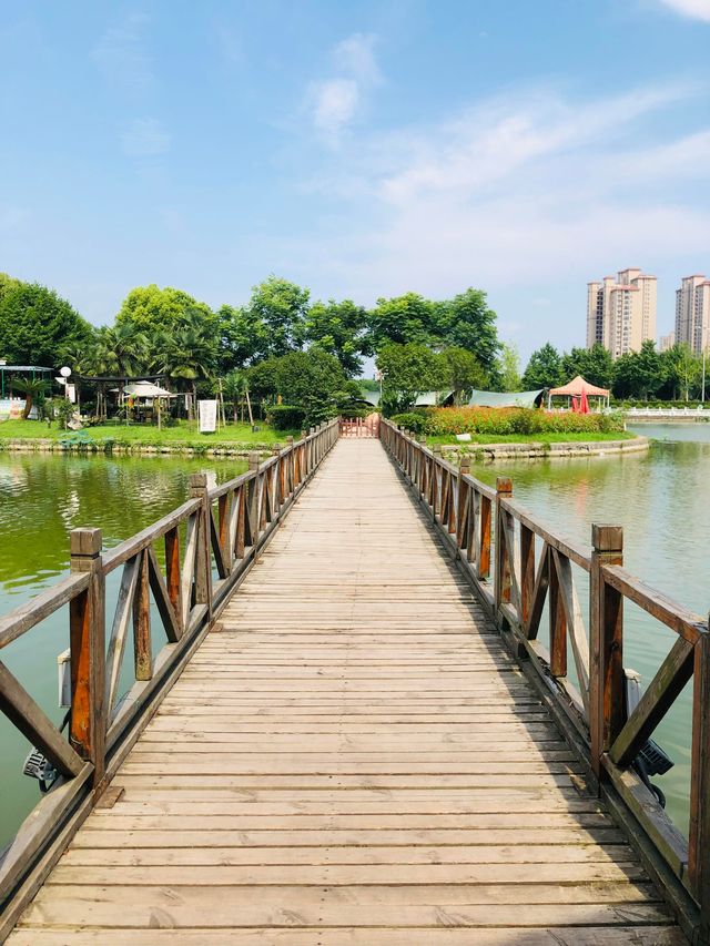 湖北省曹禺公園‖吸氧好去處