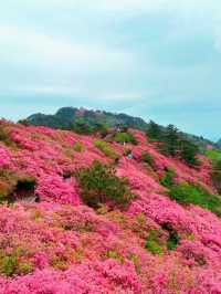 漫遊麻城，遇見湖北最美的山水畫卷，你準備好了嗎
