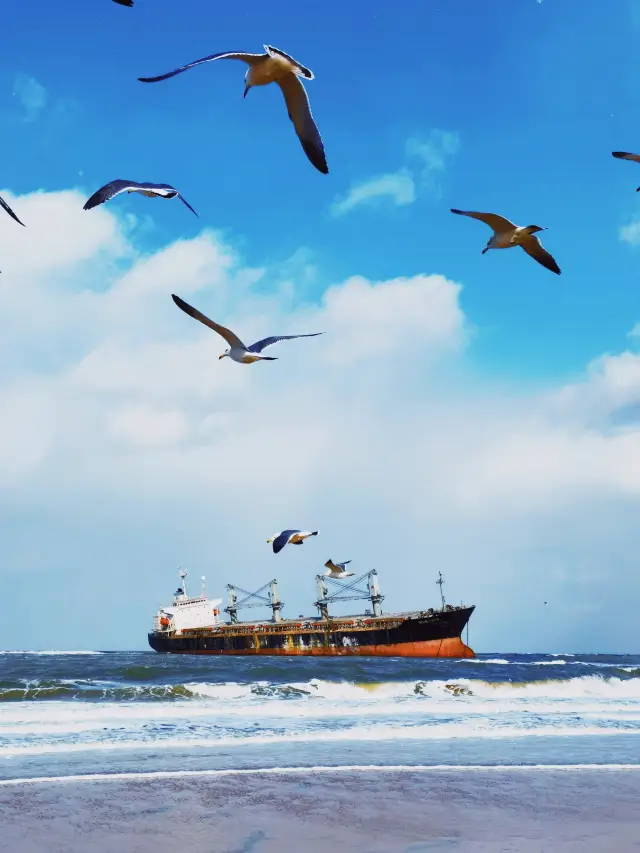 Qingdao-Laoshan-Weihai | 6-Day Winter Tour Guide: Picturesque Snowy Scenery